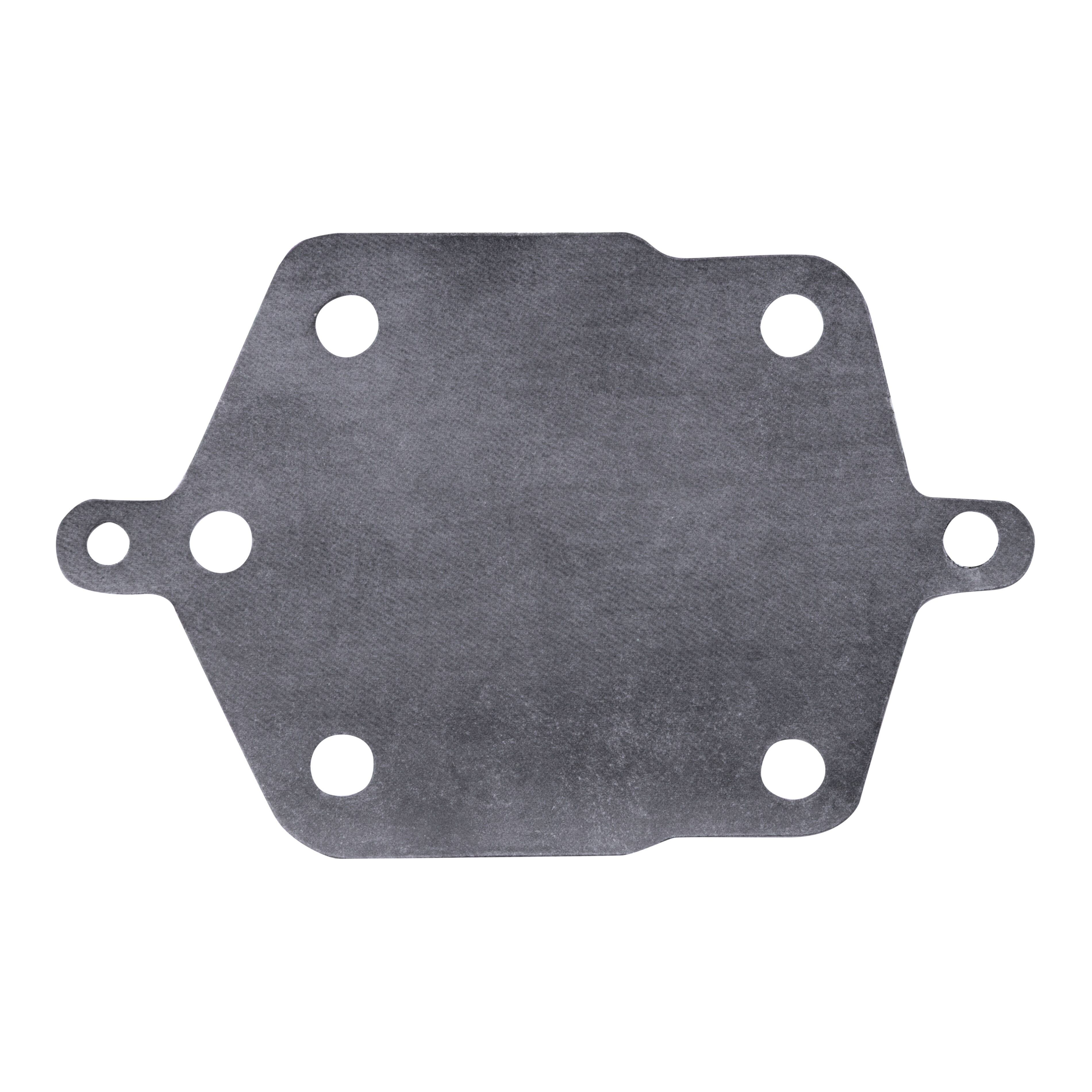 Fuel Pump Diaphragm